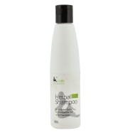 Herbal Shampoo with 13 herbal gems like Henna & Tea leaves for oil free scalp - 100ml